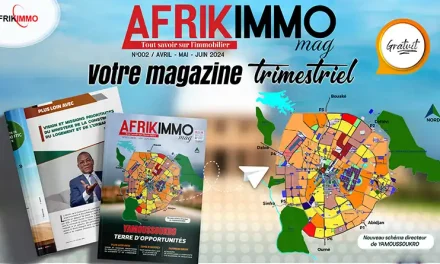 MAGAZINES NUMERIQUES AFRIKIMMOMAG